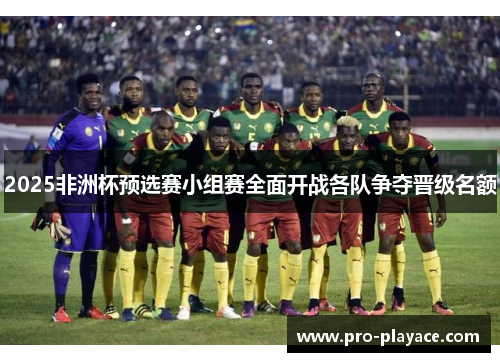 2025非洲杯预选赛小组赛全面开战各队争夺晋级名额